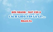 Gieo vần là gì? ngắt nhịp là gì? Thanh điệu là gì? Ngữ Văn lớp 6